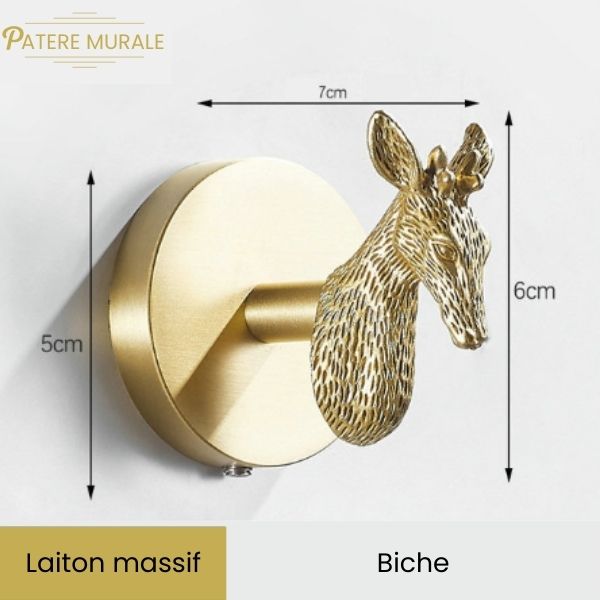 Crochet à double robe en laiton, serviette murale et cintre