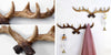 porte_manteau_bois_de_cerf
